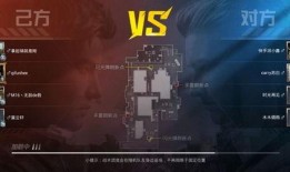 和平精英爆料视频哪来的,揭秘游戏幕后制作过程