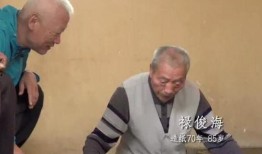 蜂蜇电影在线观看,揭秘神秘蜂群复仇的惊悚之旅