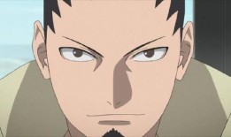 忍界鹿丸爆料视频,鹿丸揭秘忍界秘闻