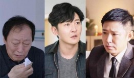 海青爆料王磊视频播放全集,揭秘背后惊人真相