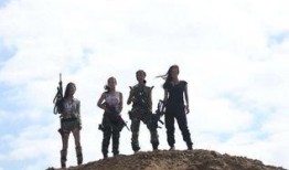 绝色兵团 在线观看,热血青春，战火中的青春传奇