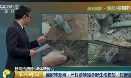 禁猎期在线观看,揭秘野生动物保护的幕后故事