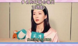 娱乐圈劲爆吃瓜小说,揭秘明星背后的惊天秘密