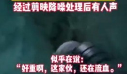爆料诡异视频在线观看,诡异视频在线观看，惊悚瞬间引发热议