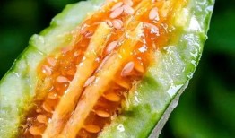 滨江网红吃瓜事件真相是真的吗,还原事件始末