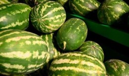 武都城网红吃瓜事件,揭秘网络舆论的风云变幻