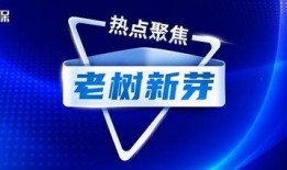 新华保险最新爆料,揭秘行业变革背后的真相