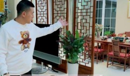 明星爆料黄圣依杨子视频,揭秘明星夫妻背后的故事