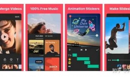 怎么编辑爆料视频文案,打造引人入胜的视觉故事