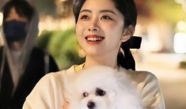 谭松韵最近感情爆料视频,揭秘幕后真相