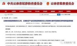 云南投资爆料最新消息今天,揭秘今日热点项目投资亮点