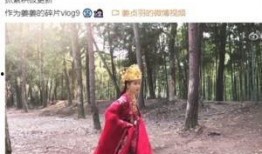 徐俊爆料姜贞羽视频播放,徐俊揭露姜贞羽视频播放背后的真相