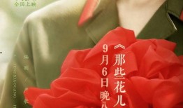 那些花儿爆料视频,幕后故事与精彩瞬间