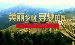 我们的乡村爆料视频下载,真实农村生活大起底