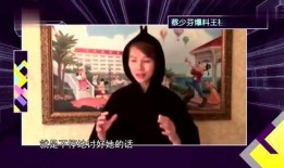 王祖蓝爆料道歉视频在线观看,揭秘背后真相与反思