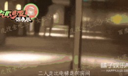 邢昭林狗仔爆料视频播放,揭秘娱乐圈幕后真相