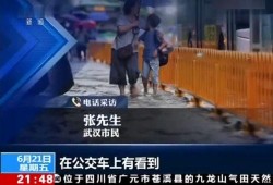 武汉爆料完整视频,揭秘事件真相，还原现场细节