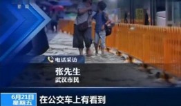 武汉爆料完整视频,揭秘事件真相，还原现场细节