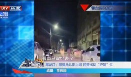 五常街道爆料视频大全,街头巷尾的实时动态一网打尽