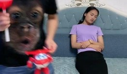 夫妻搞笑爆料视频,爆笑视频里的甜蜜日常