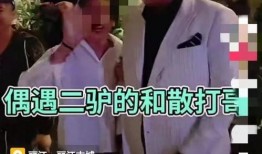 驴家大哥爆料175集视频,独家爆料背后的故事与真相