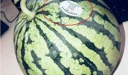 廊坊网红吃瓜,揭秘网络红人的幕后故事
