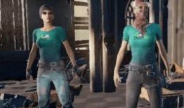 吃鸡爆料服装大全最新,最新服装大全大揭秘，潮流装备一网打尽！