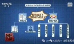 人寿保险黑幕爆料视频,视频爆料揭示行业乱象