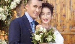 明星爆料黄圣依杨子视频,揭秘明星夫妻背后的故事