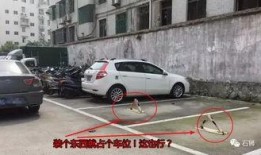 石狮车位价格最新爆料,涨跌动态一览无余