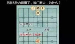 仙女象棋爆料视频,神秘棋局背后的传奇故事