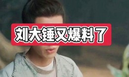 刘大锤最新爆料综艺视频,综艺幕后花絮大曝光！