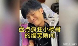 宇哥爆料小杨仔视频播放,小杨仔视频播放背后的惊人真相