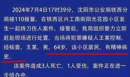 沈阳网友爆料新闻事件,惊现神秘事件，真相令人震惊！