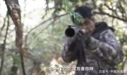 禁猎期在线观看,揭秘野生动物保护的幕后故事