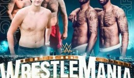 奇哥的爆料视频在哪看,揭秘热门内容发布平台