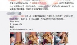 网友爆料狗狗被扎了视频,现场视频令人揪心