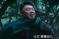 德阳爆料王胖子视频播放,揭秘背后惊人真相