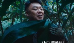 德阳爆料王胖子视频播放,揭秘背后惊人真相