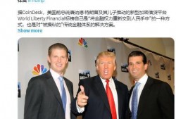 特朗普家庭爆料视频,揭秘权力斗争与家庭秘密