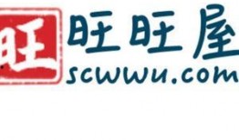 中国新闻爆料网站,舆论监督的利器与挑战
