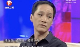 家暴男打老婆爆料娱乐圈,揭秘家暴男与受害妻子背后的故事