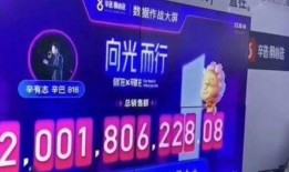 辛巴直播最新爆料,最新爆料引发热议！