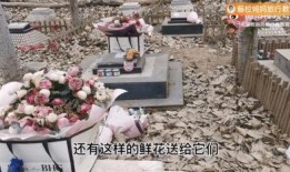 爱的坟墓韩国在线观看,韩国爱情悲剧在线观影指南