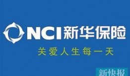 新华保险最新爆料,揭秘行业变革背后的真相