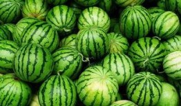 天津4s吃瓜爆料视频,揭秘汽车销售内幕