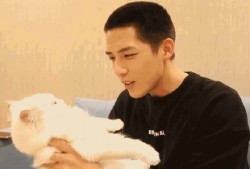 娱乐圈吃瓜爆料王安宇