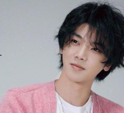 娱乐圈吃瓜王力宏是谁,揭秘明星圈层背后的八卦风云